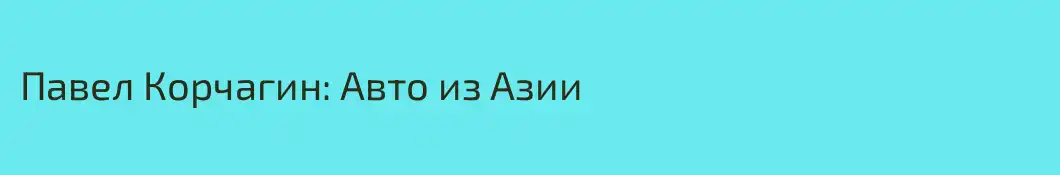 Павел Корчагин: Авто из Азии